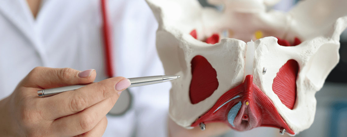 Pelvic Organ Prolapse
