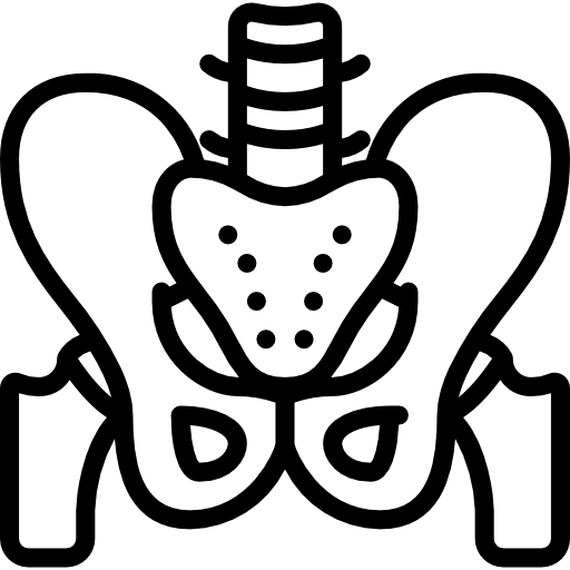 Womens' Pelvic Floor Therapy